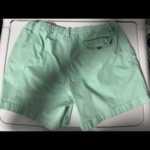 Chubbies 5.5” Teal XL